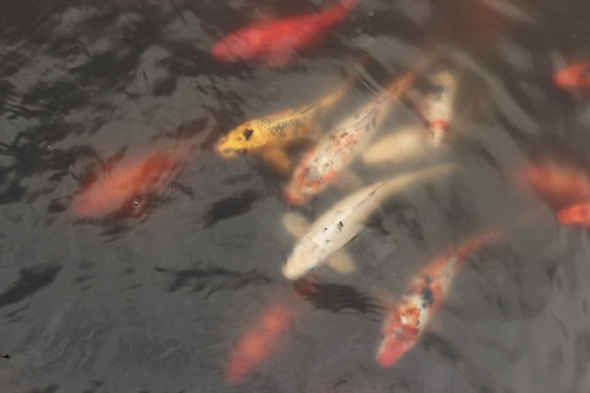 照片 026_副本.jpg