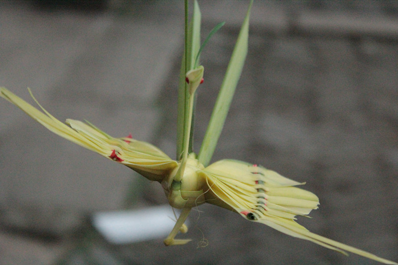 照片 083_副本.jpg