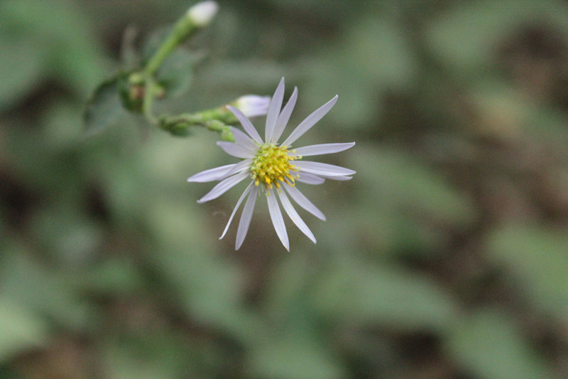 照片 071_副本.jpg