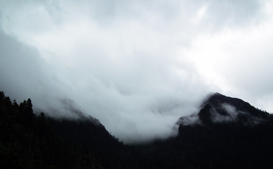 DSCF8327.jpg