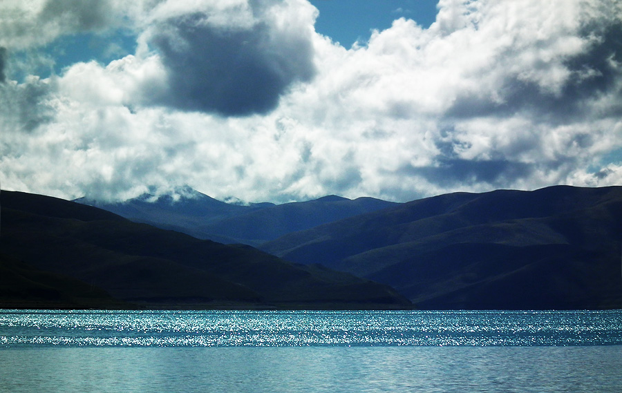 DSCF8442.jpg