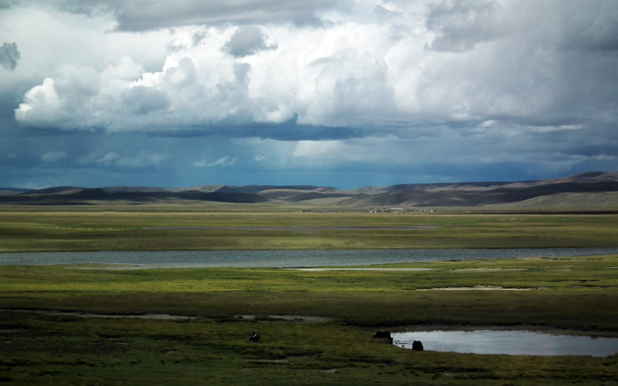 DSCF8648.jpg