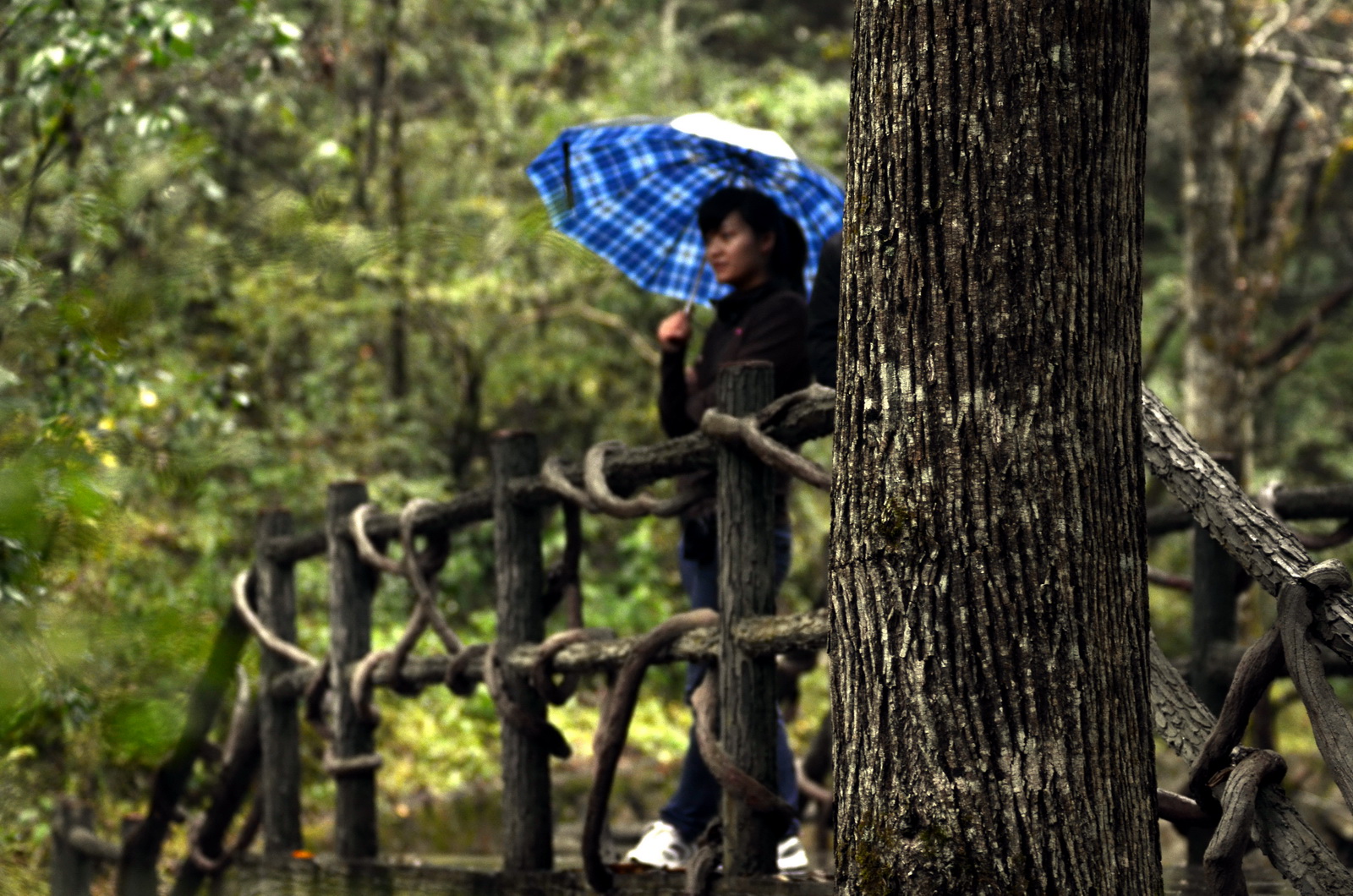 DSC_0109_调整大小.jpg