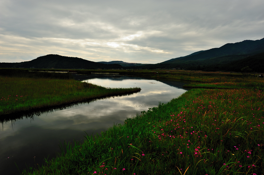 DSC_018411.jpg