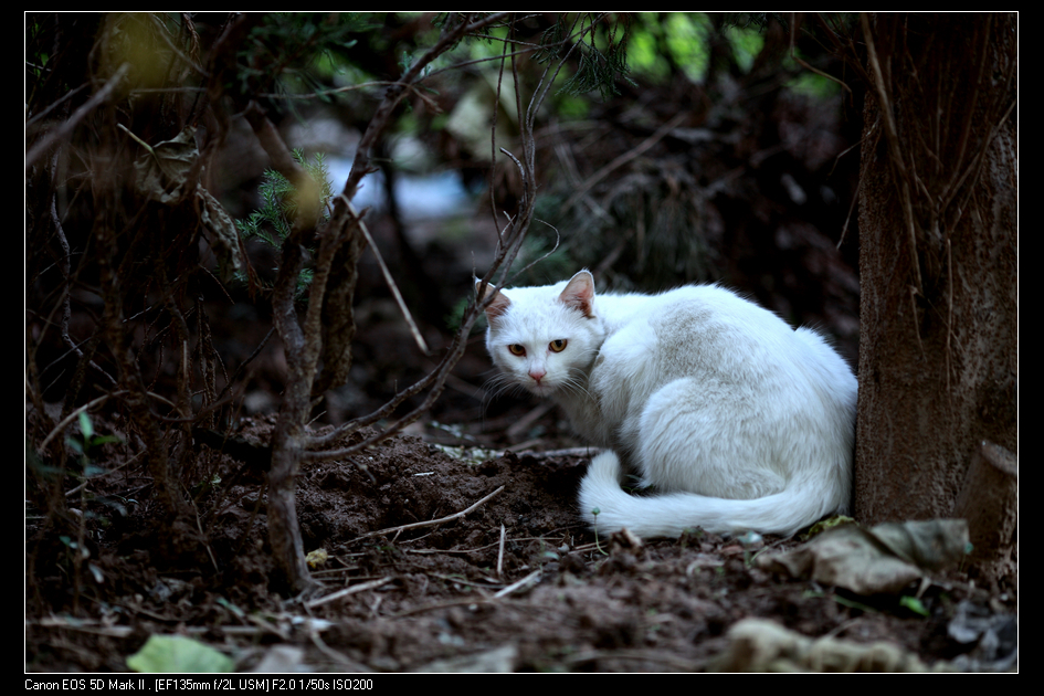 nEO_IMG_10144607-1.jpg