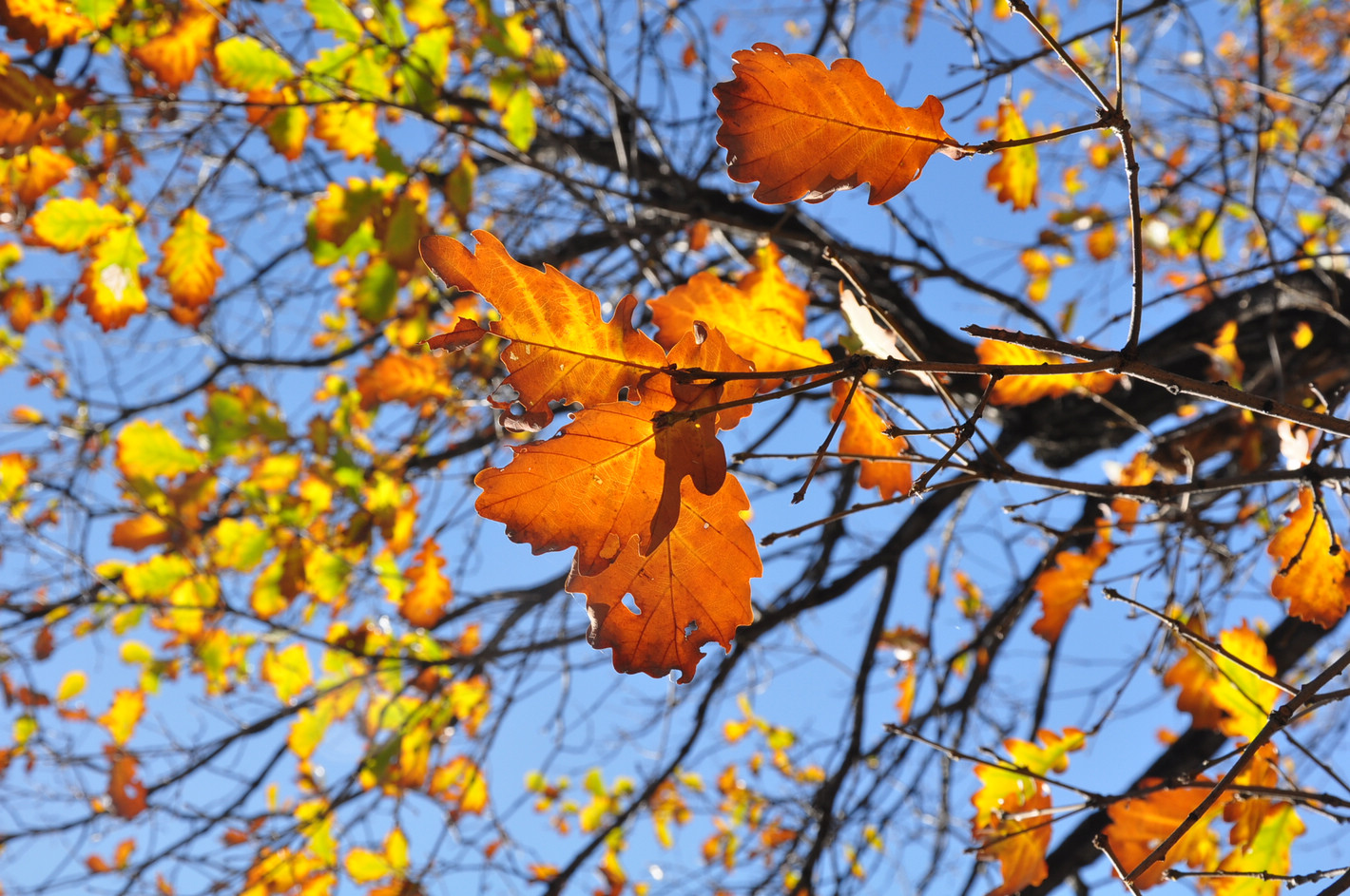 nEO_IMG_照片 162.jpg