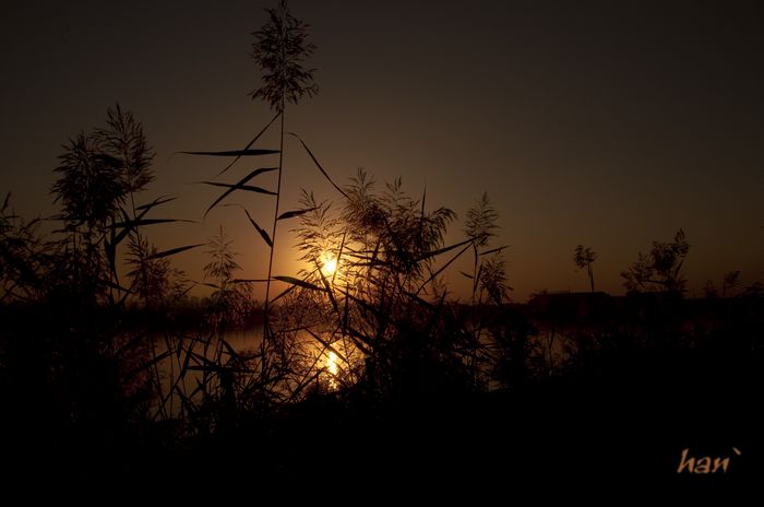DSC_1805x.jpg