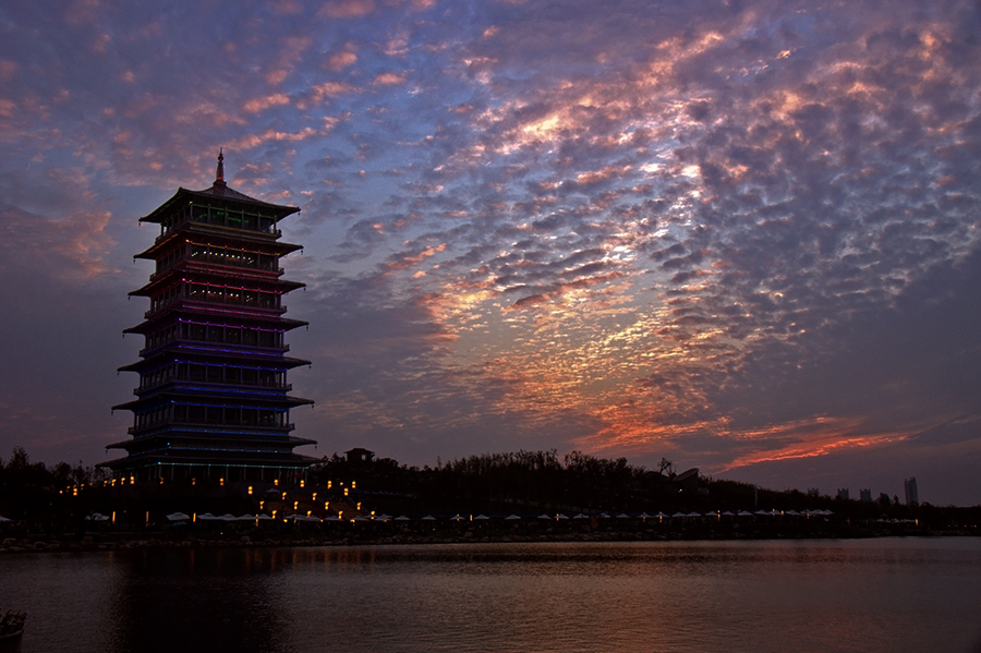DSC08231-1.jpg