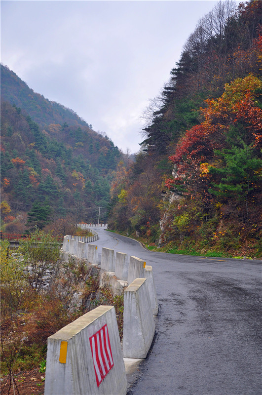 DSC_0006_副本.jpg