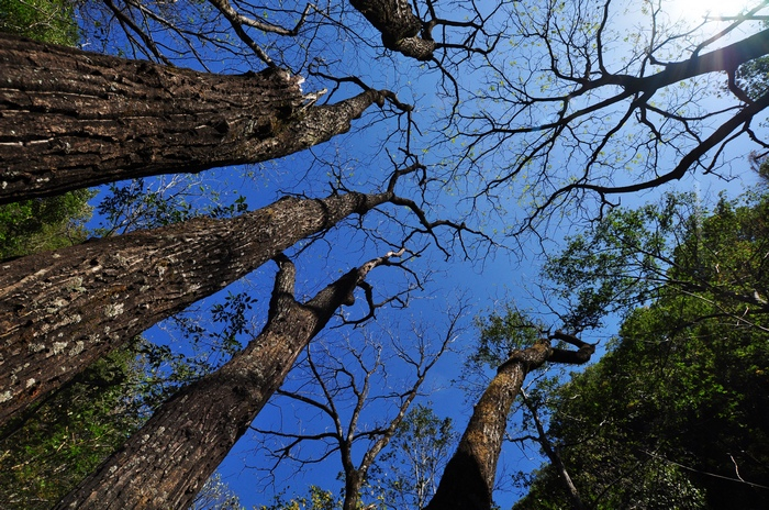 DSC_0185.jpg