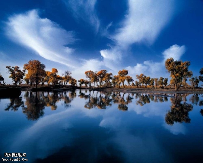 daoying00001-673x543.jpg