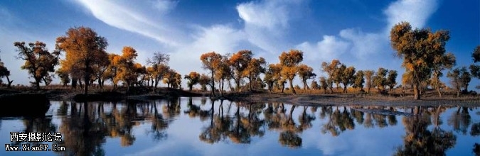daoying00001-675x220.jpg