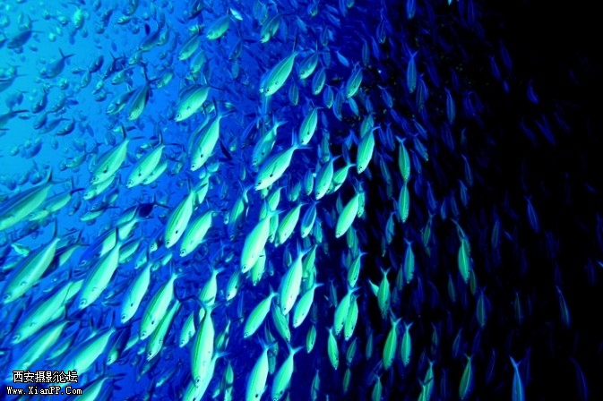 ocean02-673x448.jpg