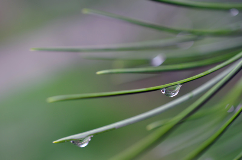 DSC_0103_副本.jpg