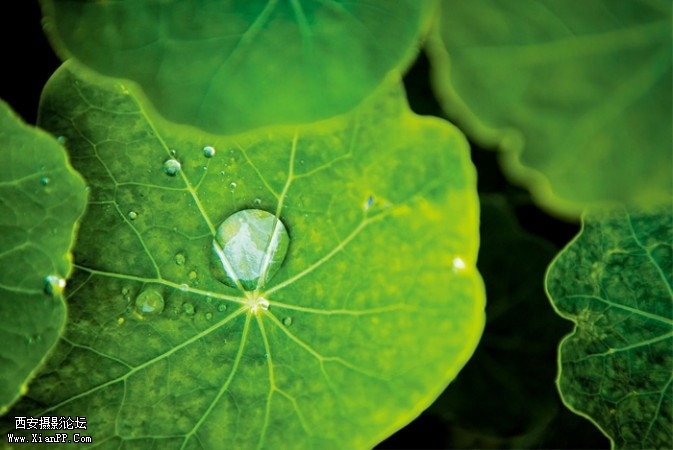 plant1-673x450.jpg