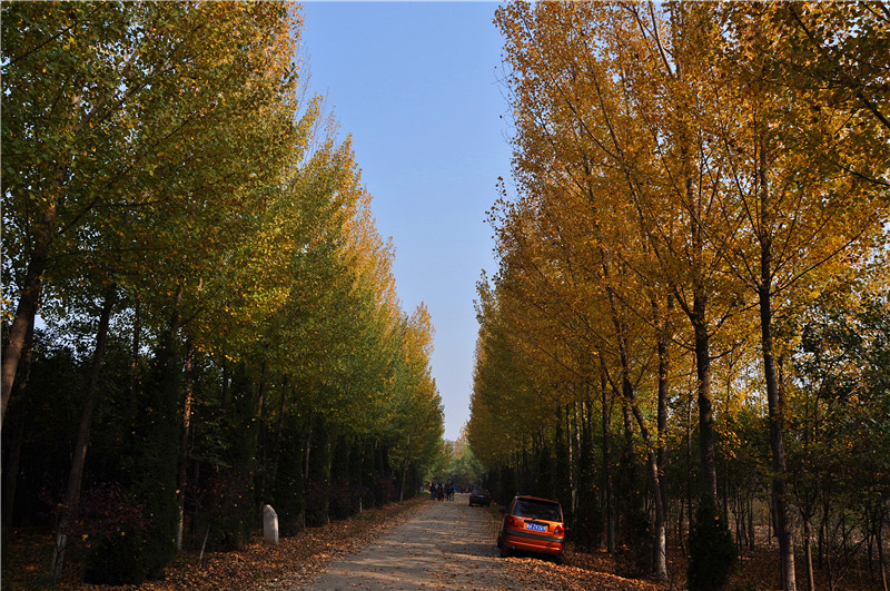 DSC_0151_副本.jpg