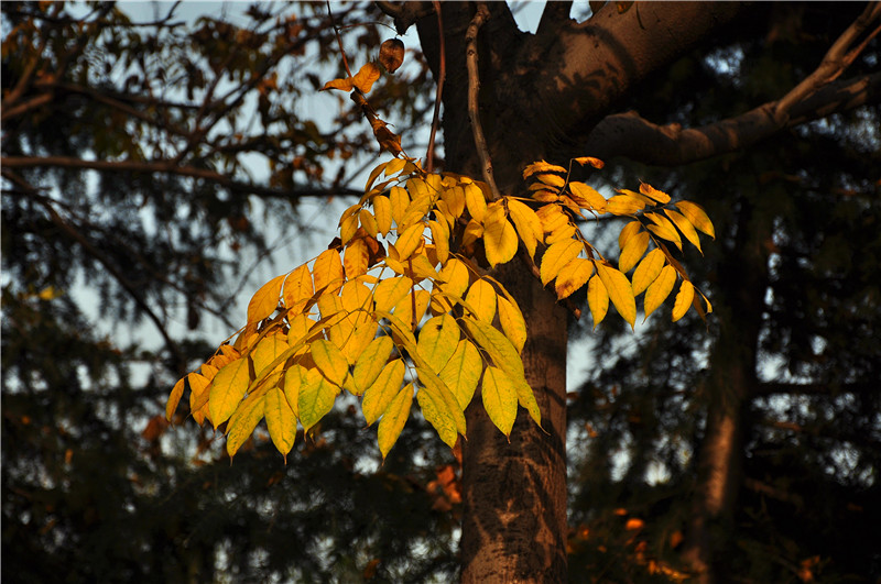 DSC_0360_副本.jpg