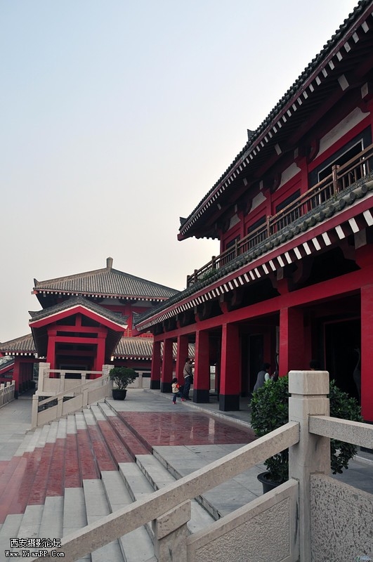 13548247_0800.jpg