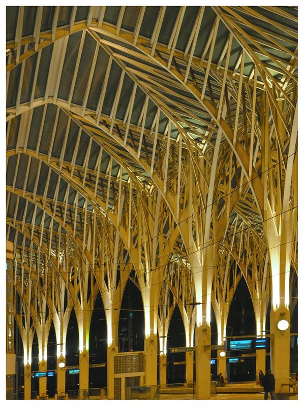 lisbon new 18sm_nEO_IMG.jpg