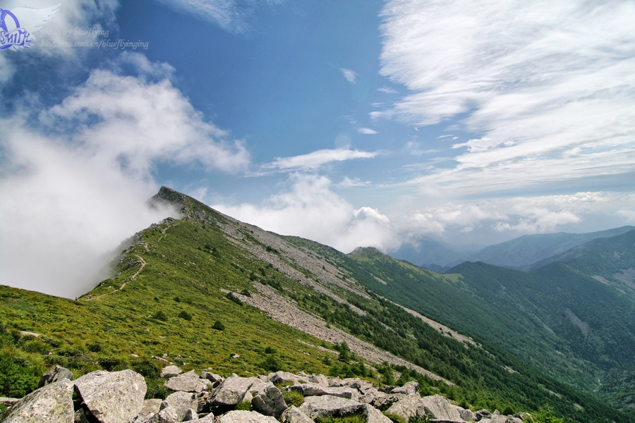 052一半是记忆 一半是思念.jpg