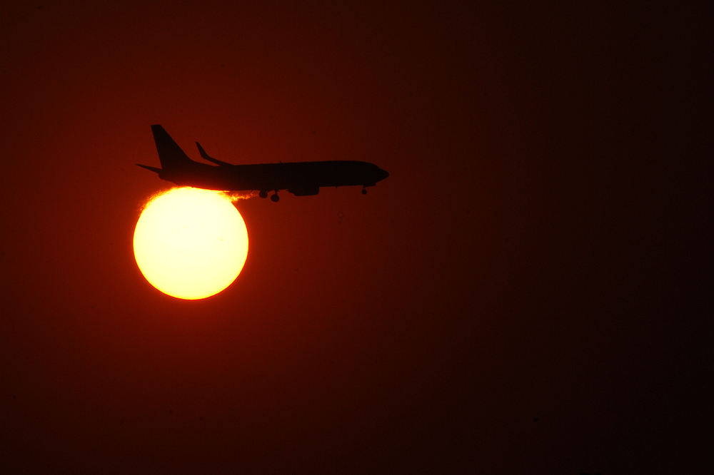 DSC_3029.jpg