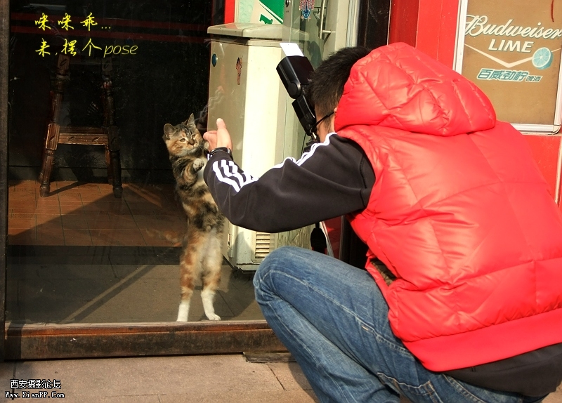 DSCF3687a.jpg