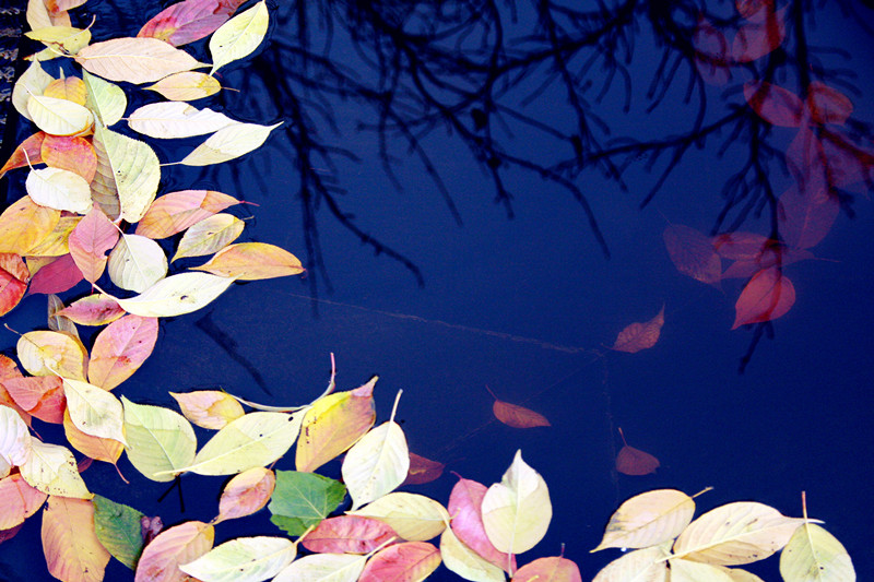 照片 197_副本_副本.jpg