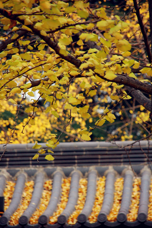 照片 209_副本3_副本.jpg