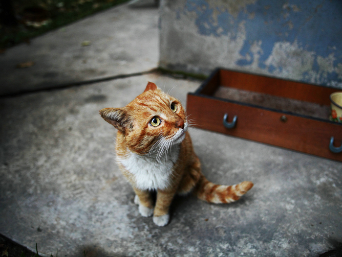 nEO_IMG_20-35L高感试镜5315.jpg