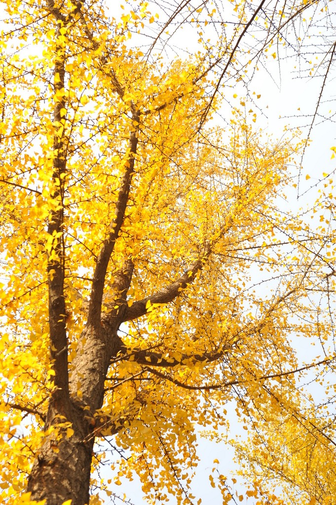 DSC_3370_调整大小.JPG