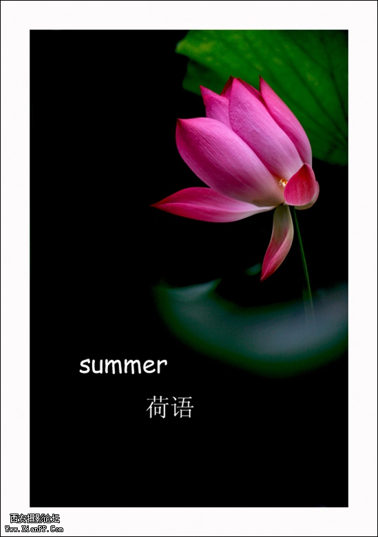 4668979光影似箭.jpg