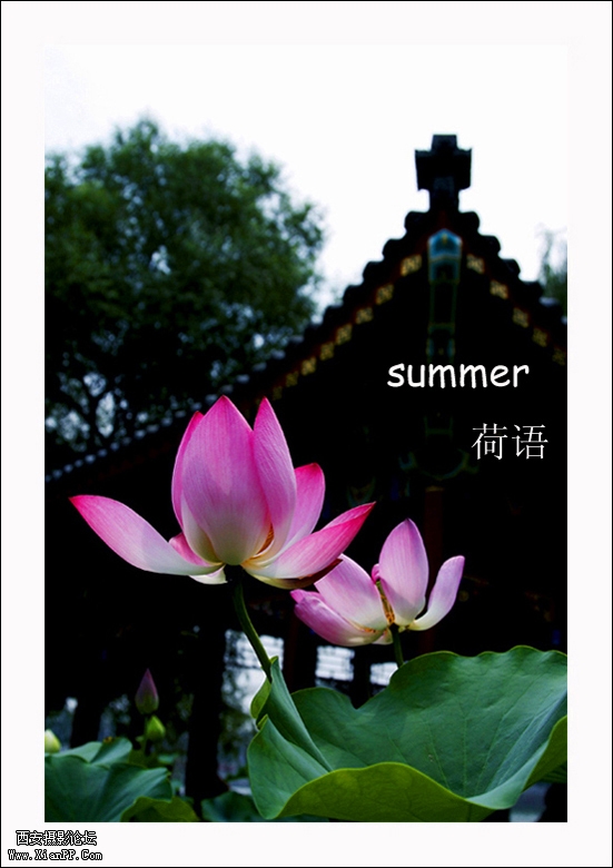 4669043光影似箭.jpg