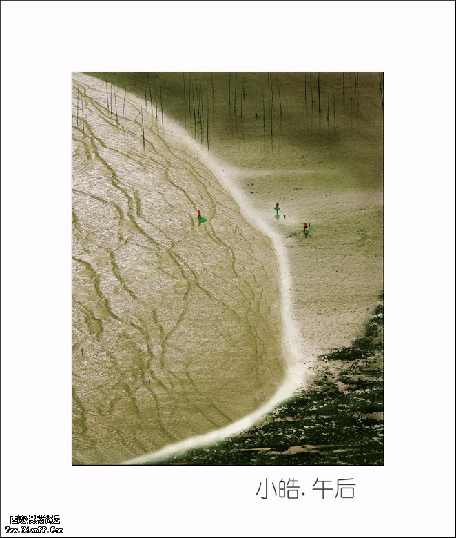 4731245光影似箭.jpg