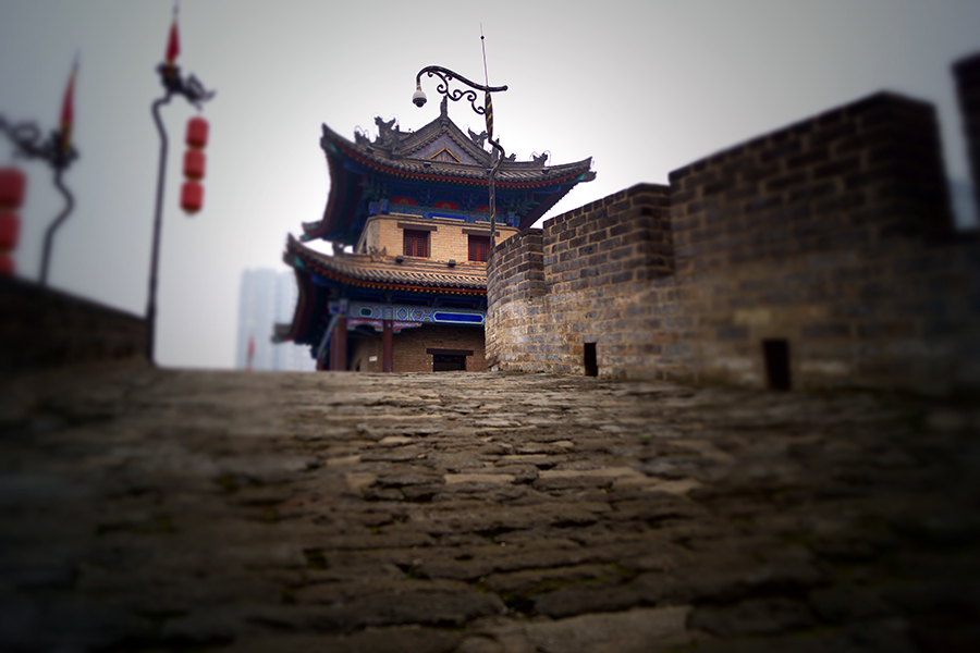 DSC03076-900.jpg