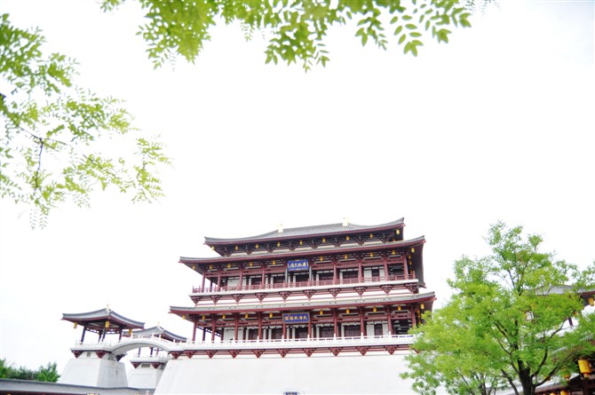 大唐 (5).jpg