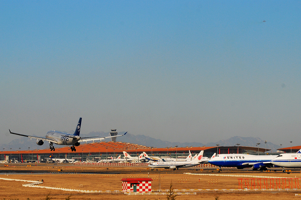 DSC_4479.jpg