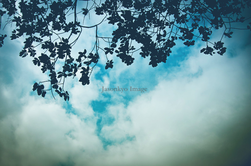 20111110-DSC_0042_副本.jpg