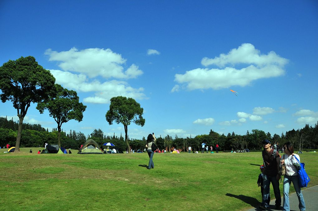 DSC_3243.jpg