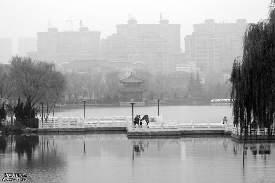 DSC_0037.jpg