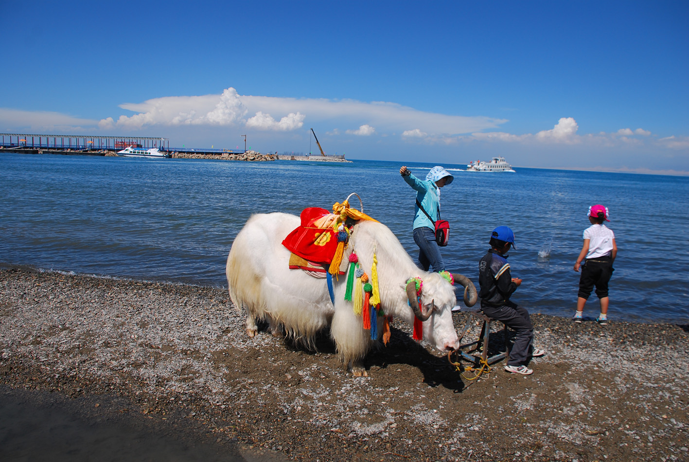 DSC_0758.jpg