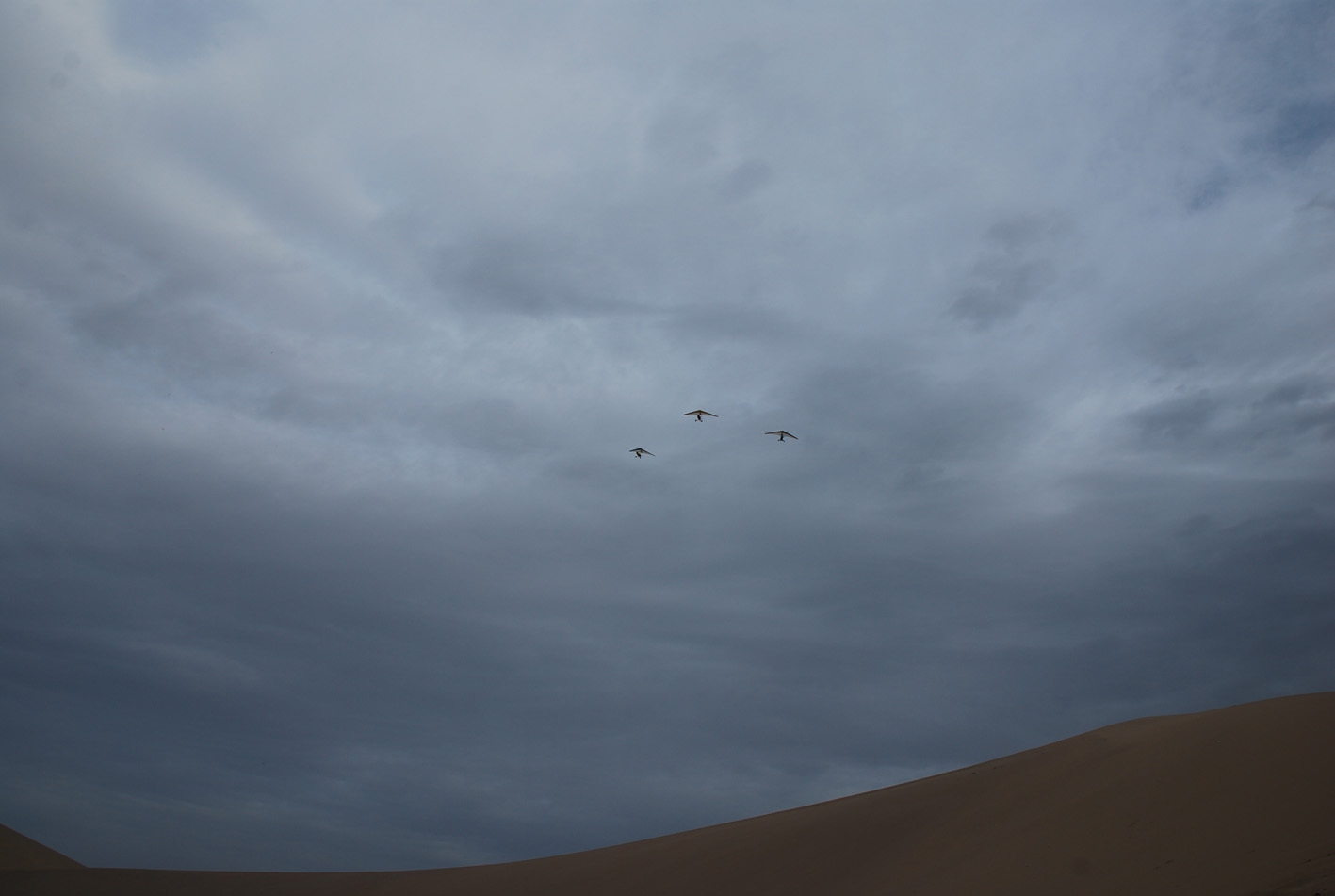 DSC_0703.jpg