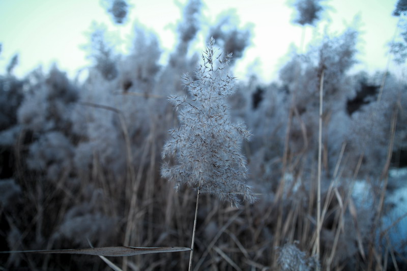 12107567_调整大小.JPG