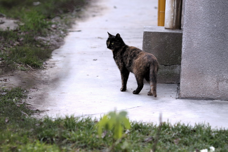 12117597_调整大小.JPG