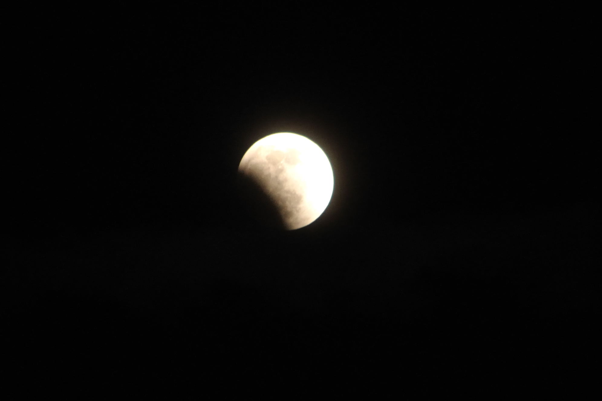 DSC_0314.jpg