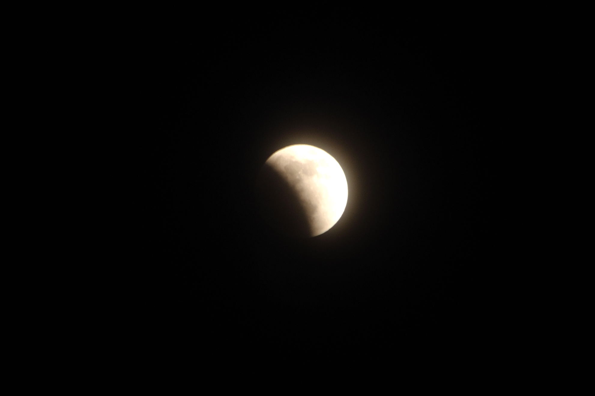 DSC_0325.jpg