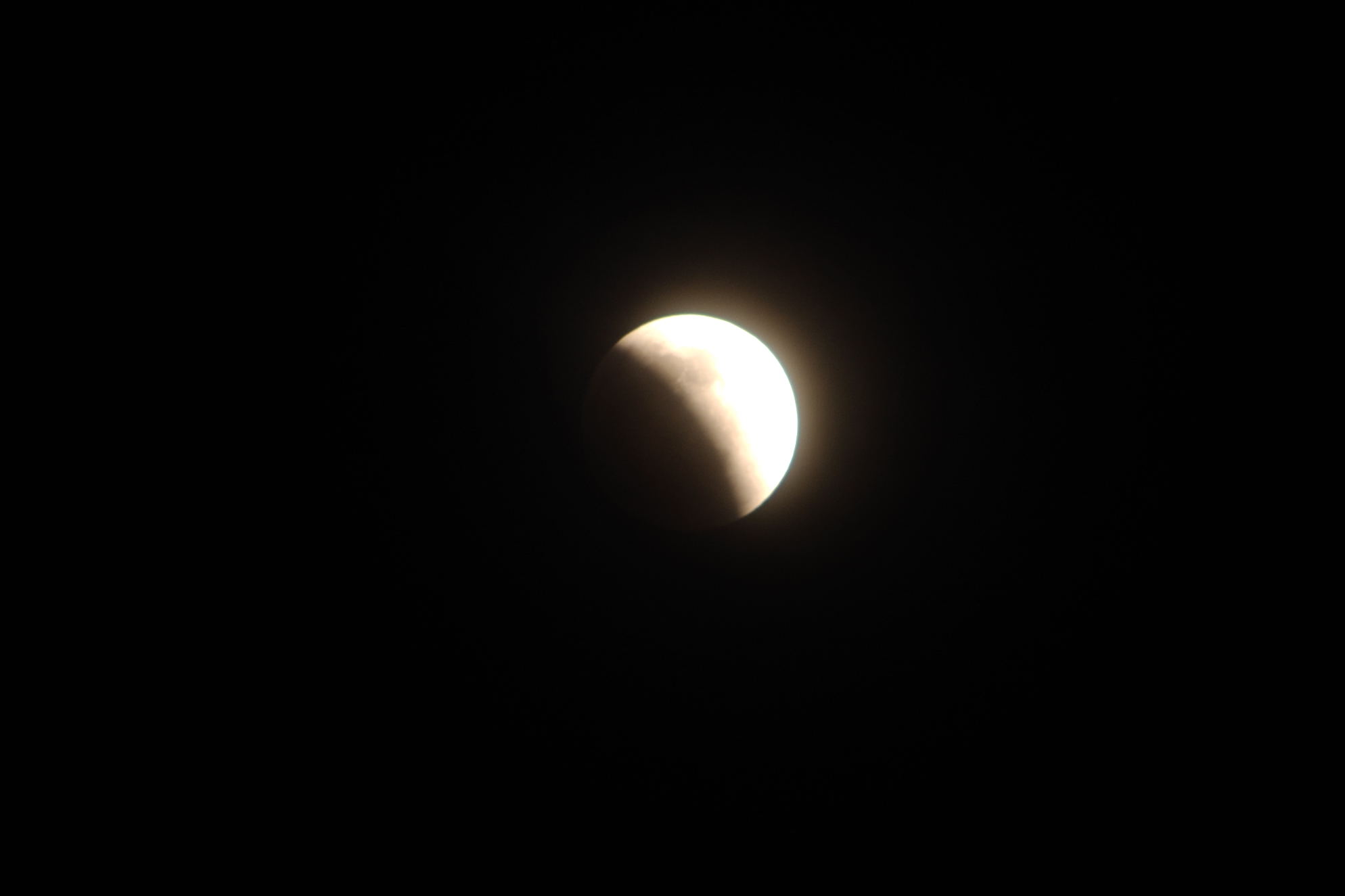 DSC_0338.jpg