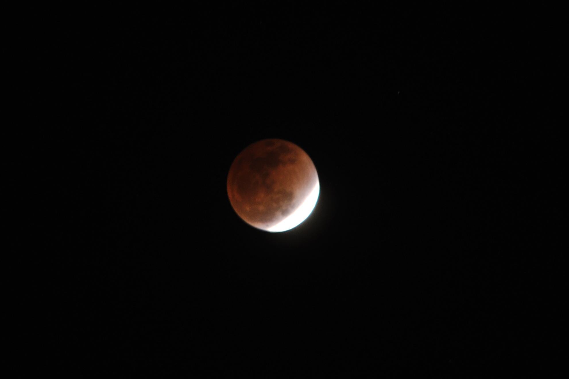DSC_0416.jpg