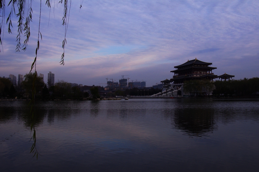 IMGP5459.JPG