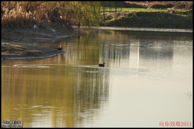 conew_dsc_0011_副本.jpg