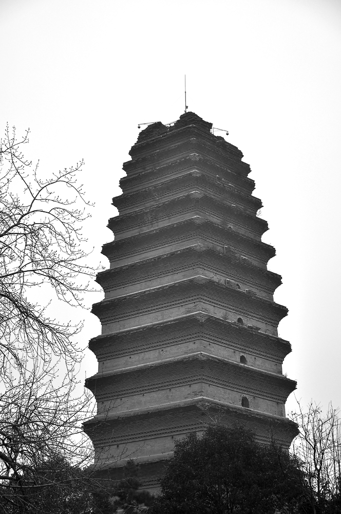 _DSC0270副本.jpg